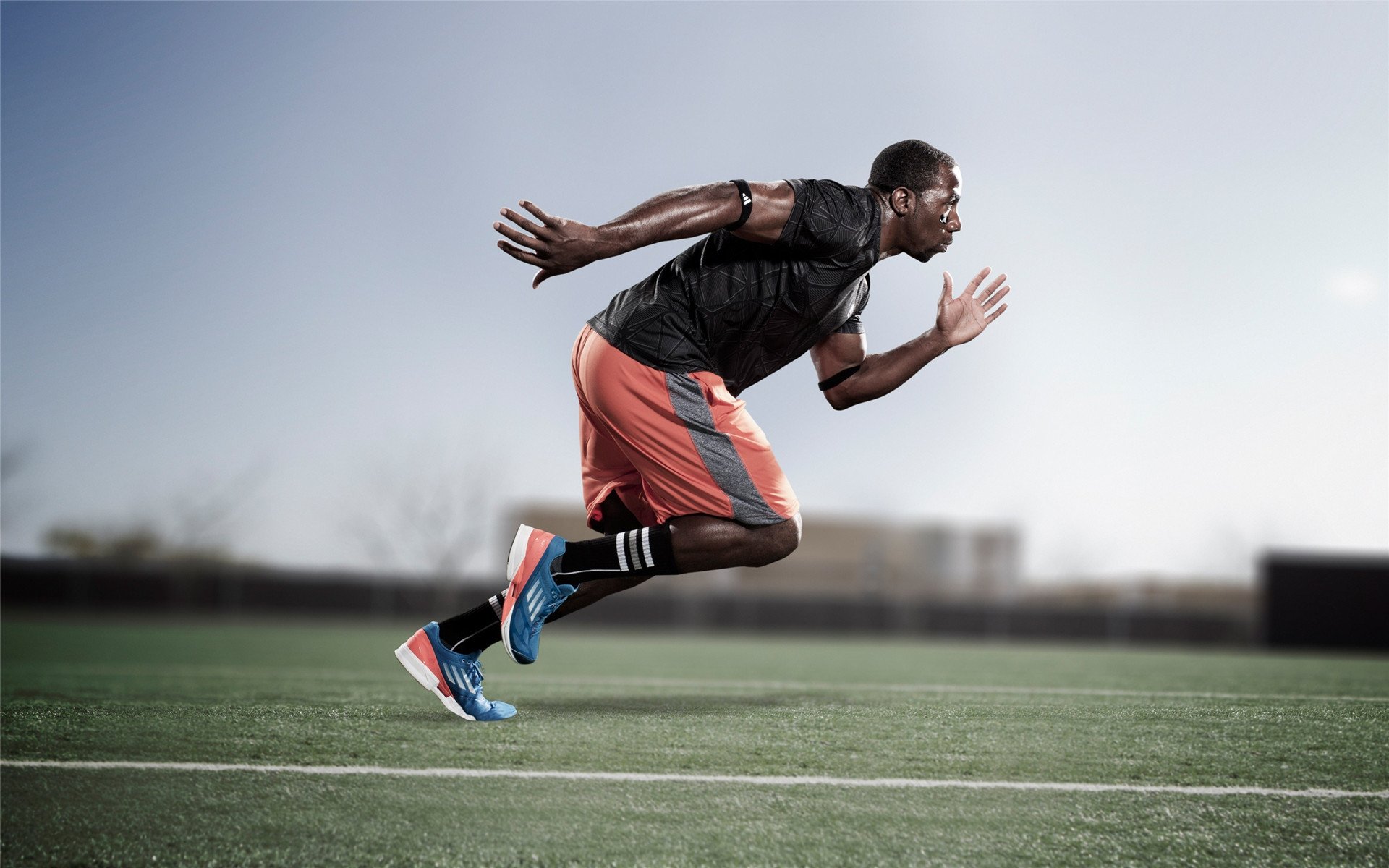 短道速滑世界杯北京站,中国队包揽三金,新秀闪耀赛场